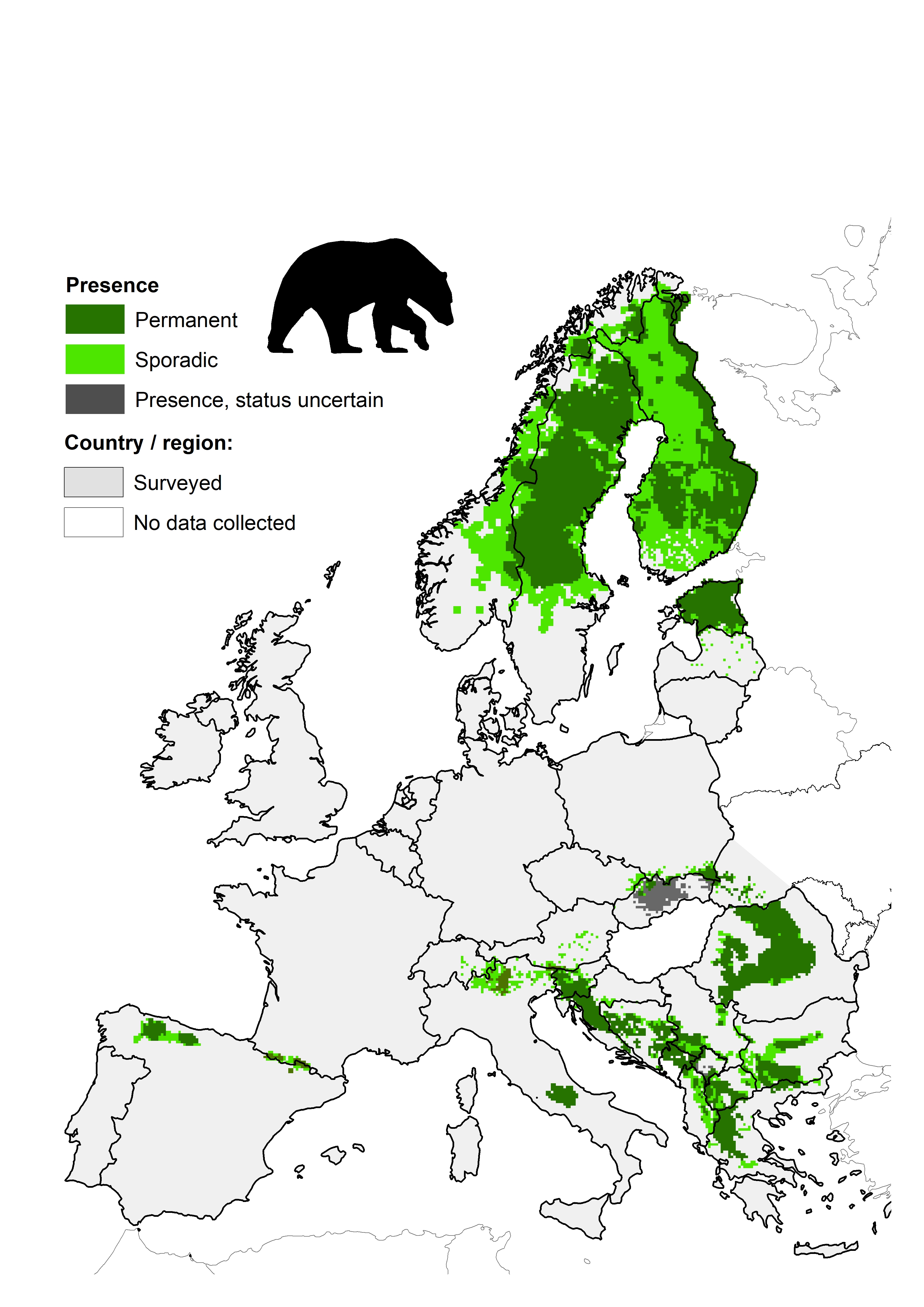 Large Carnivore Initiative for Europe > Large carnivores > Brown bear