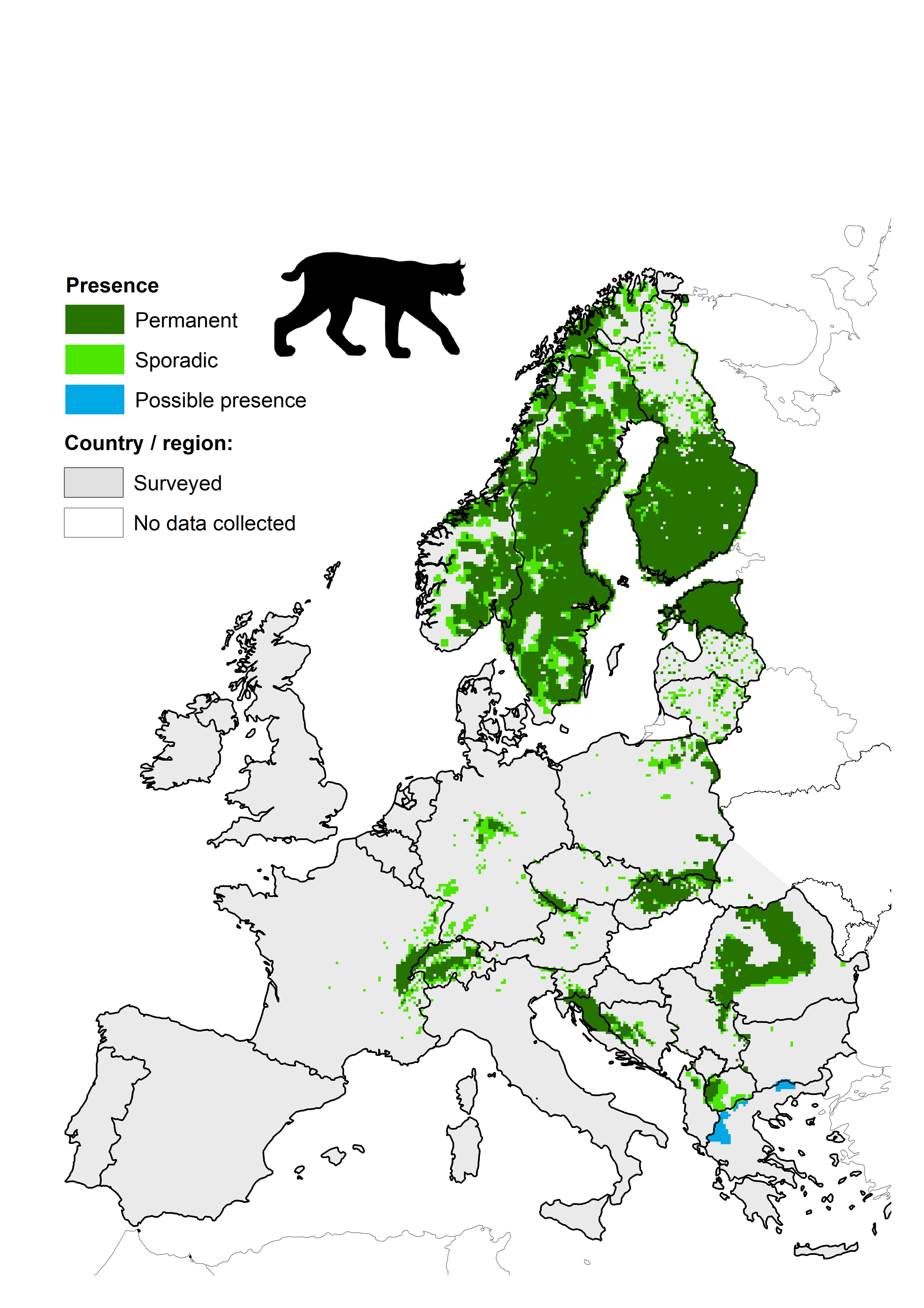 Large Carnivore Initiative for Europe > Large carnivores > Eurasian lynx