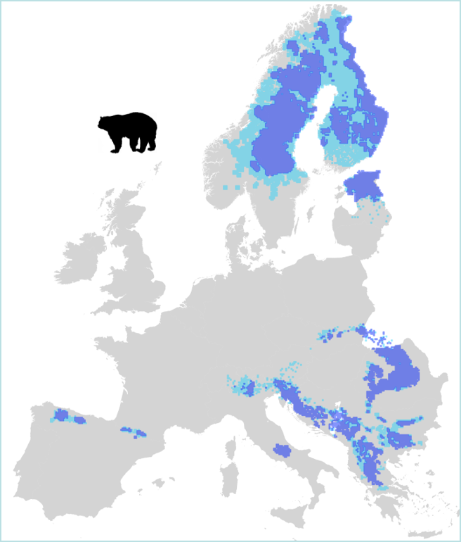 Large Carnivore Initiative for Europe > Large carnivores > Brown bear