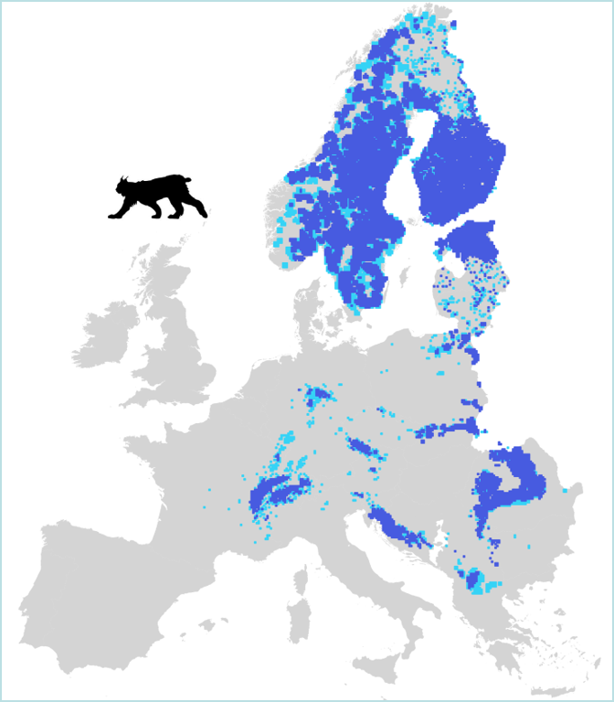 Large Carnivore Initiative for Europe > Large carnivores > Eurasian lynx